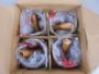 Zuigerset Origineel nieuwe set 4 stuks Zuigerset Origineel nieuwe set 4 stuks