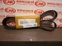 Multiriem Toyota Rav4 (A3) ‘05-‘12 & Rav4 (A4) ‘12-‘19 Origineel nieuw