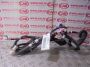 Kabelboom/bedrading portier rechts voor Lexus CT200H (ZWA10) ‘10-‘13 Kabelboom/bedrading portier rechts voor Lexus CT200H (ZWA10) ‘10-‘13