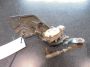 Sensor hoogteregeling links achter Landcruiser (J12) ‘02-‘09 Sensor hoogteregeling links achter Landcruiser (J12) ‘02-‘09
